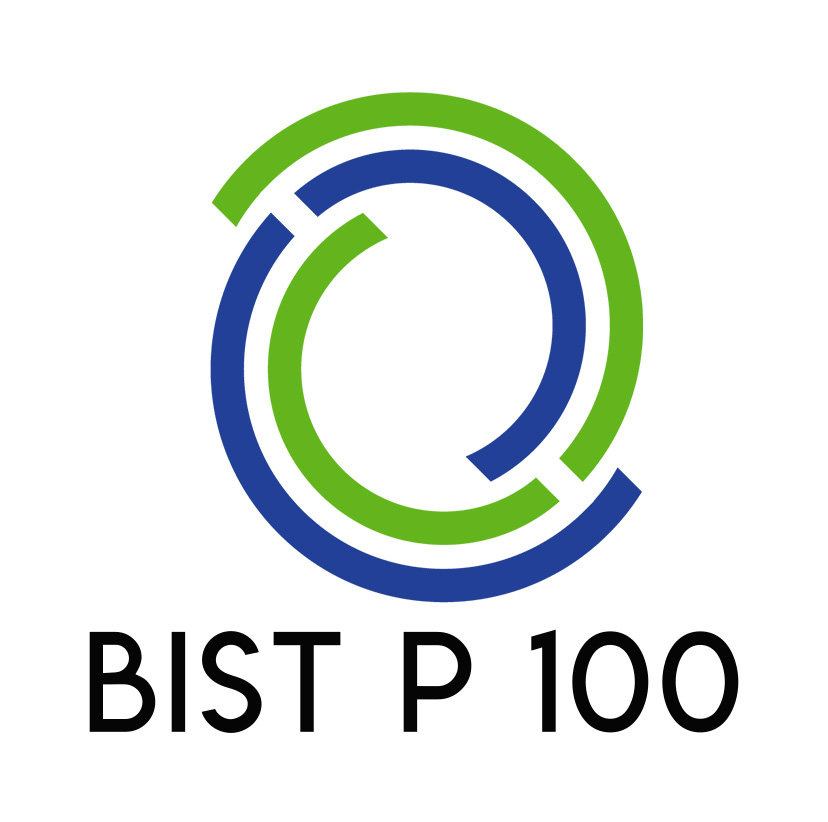 Bist P 100